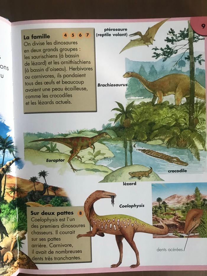 Mon premier Quiz Animaux et Nature France Loisirs NEUF - photo numéro 8