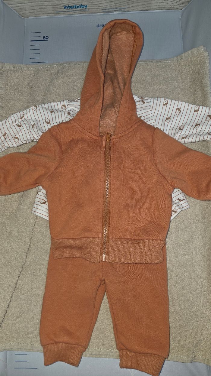 Ensemble hérisson 0M - photo numéro 3