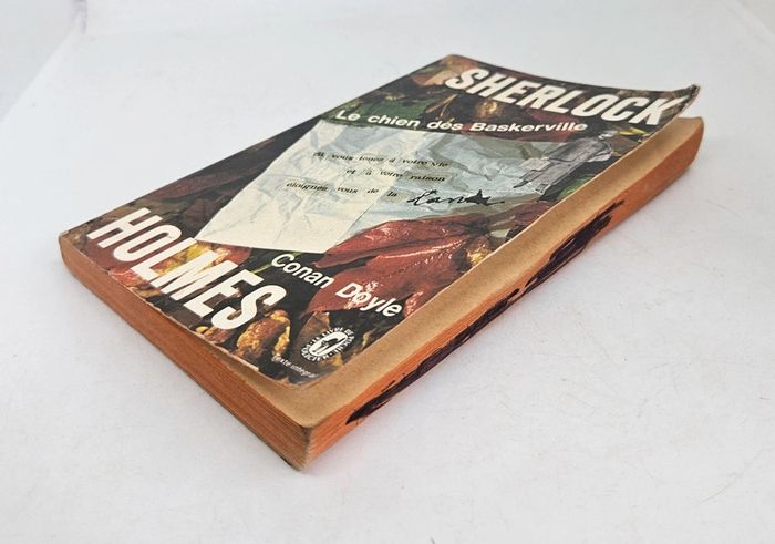 "Le chien des Baskerville. Sherlock Holmes", de Conan Doyle.
256 pages.
ISBN : 2.253.00314.X. - photo numéro 3