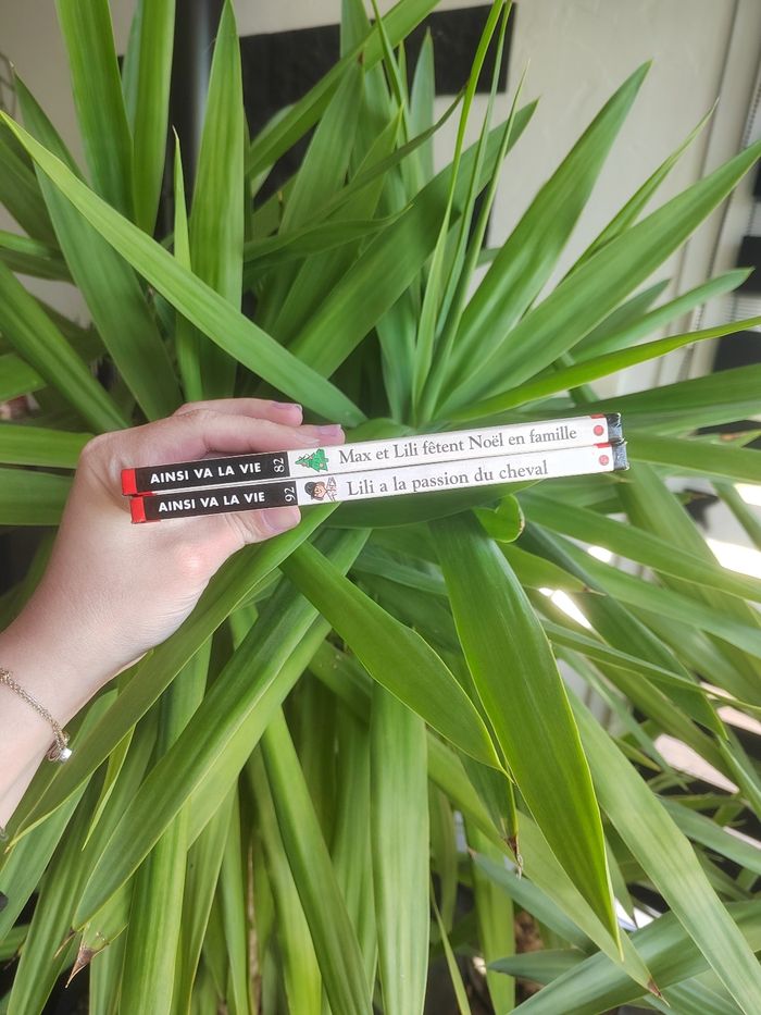 Lot de 2 livres "Max et Lili" - photo numéro 2