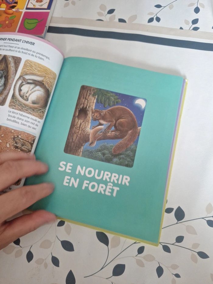 #Livre image de la forêt pages interactive - photo numéro 5