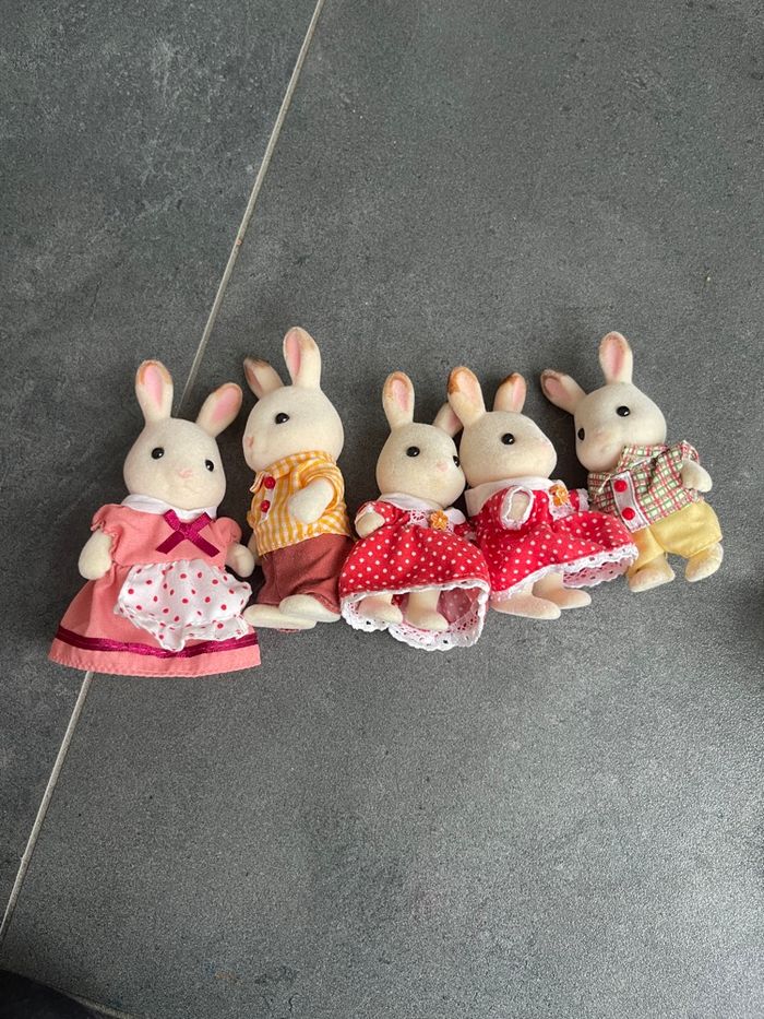 Grande maison éclairée et sa pièce secrète - photo numéro 5