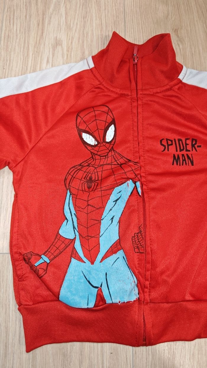 Pull a zippe Spider-Man 2ans - photo numéro 2