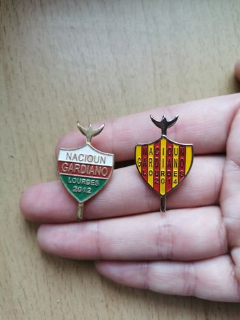 Lot 2 pin's