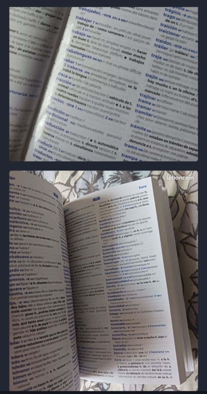 Dictionnaire traduction, français-espagnol et espagnol-français - photo numéro 5