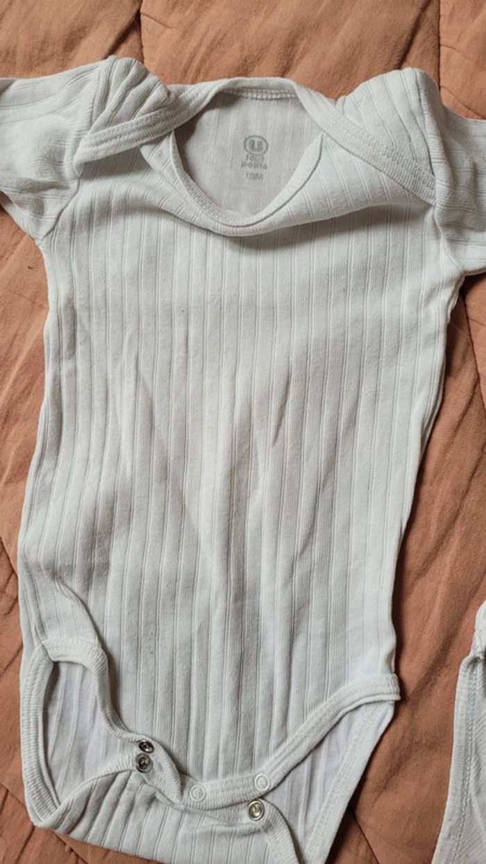 2 bodies 18mois - photo numéro 2