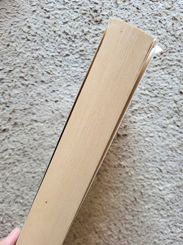 Coffret La Passion Cathare de Michel Peyramaure – 2 tomes - photo numéro 8