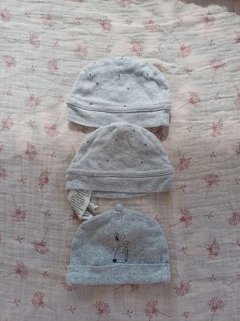 Bonnet