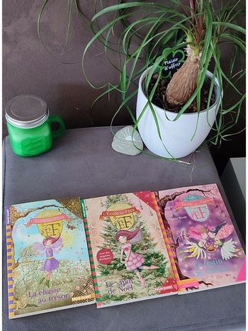 Lot de 3 livres L'école des fées