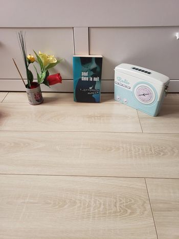 Livre 📖 seul dans la nuit 3€