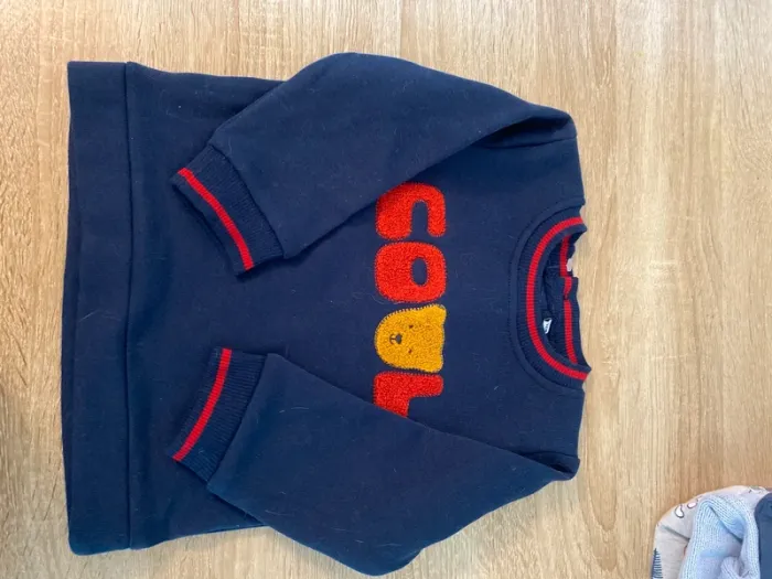 Lot de 3 pulls et 1 veste légère taille 12 mois - photo numéro 8