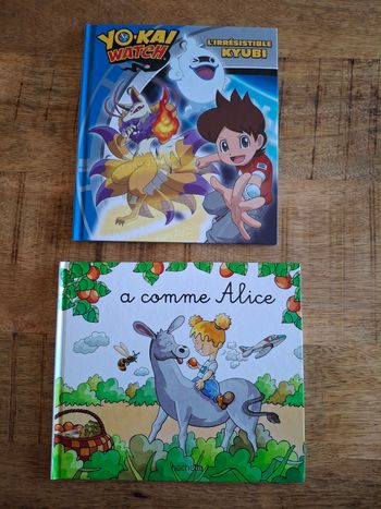 Lot 2 livres enfants