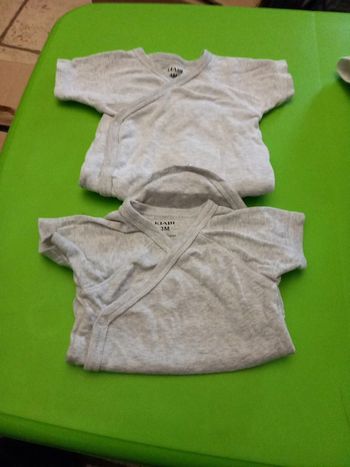 Lot 2 bodies gris 3 mois