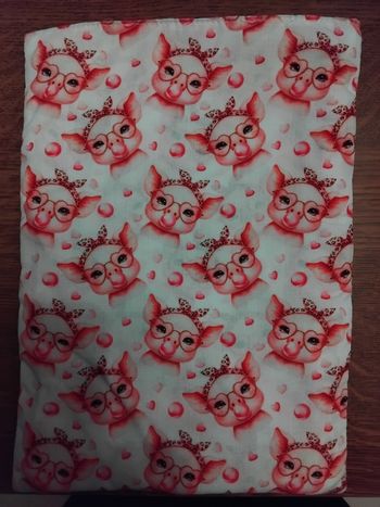 Housse pour livre doublé 28cm sur 20cm