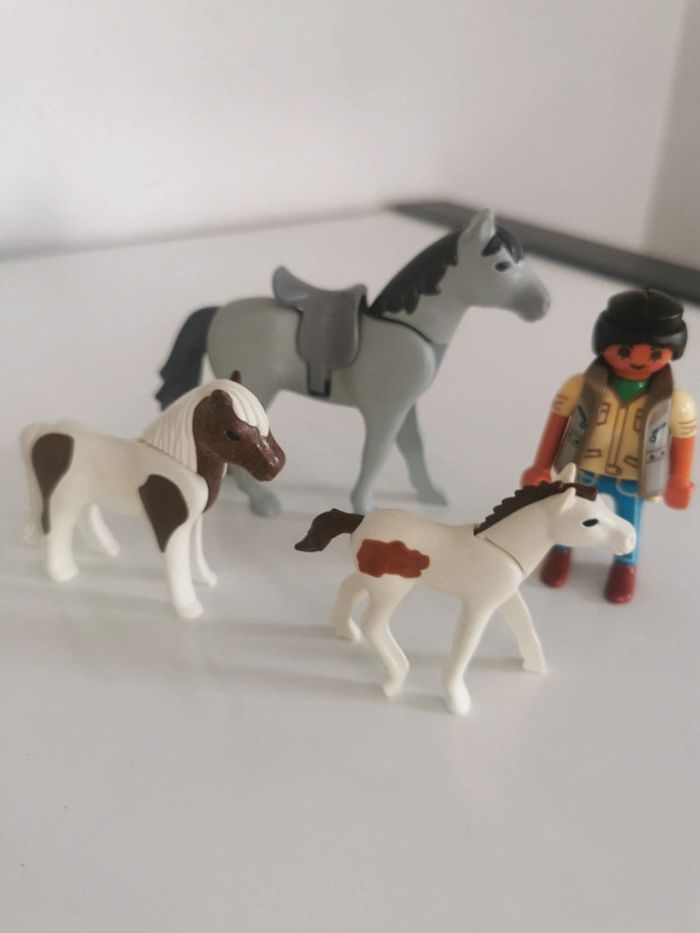 Playmobil lot animaux personnage cheval poney poulain cavalière écuyere