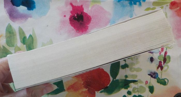 Le cri de Nicolas Beuglet Ed. France Loisirs - photo numéro 4