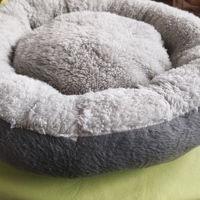 Coussin repos pour petit chien, chat, lapin.. - photo numéro 3
