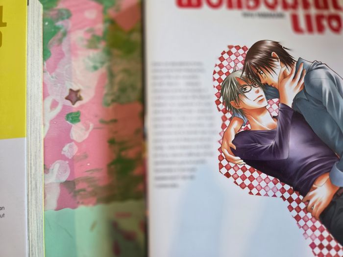 Manga yaoi wonderful life - photo numéro 6