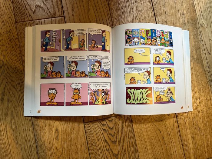 Garfield poids lourd 16 par Jim Davis - Nickelodeon - photo numéro 3