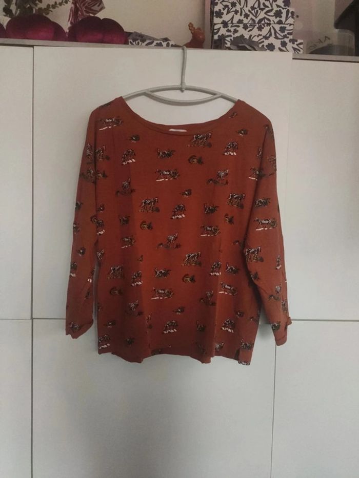 Springfield Tee shirt zèbres L