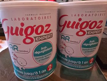 Lot 2 boîtes guigoz expert ar deuxième âge