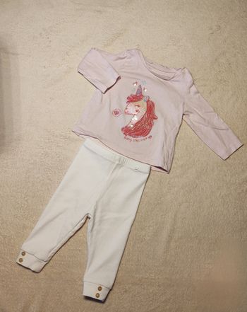 Ensemble licorne 