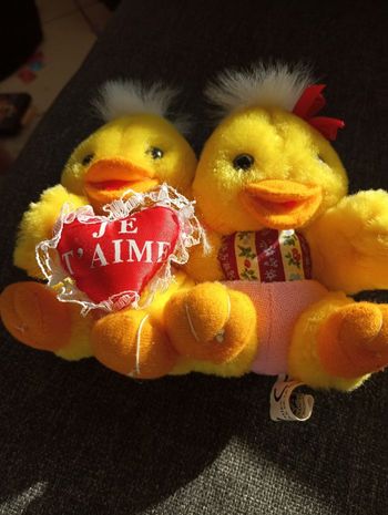 Poussins avec un coeur