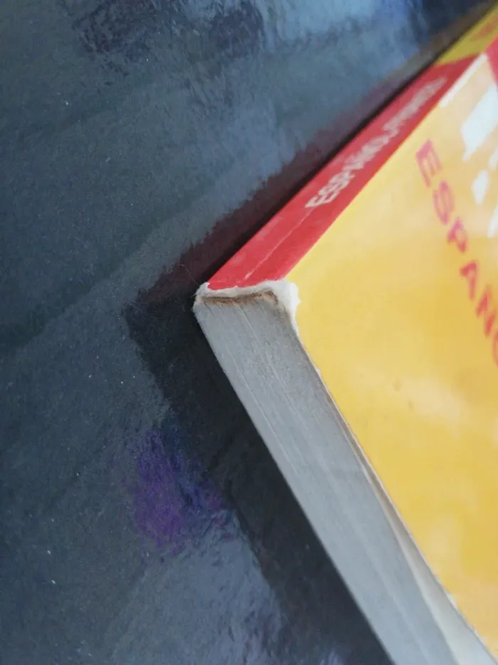 "Dictionnaire" français espagnol - photo numéro 4