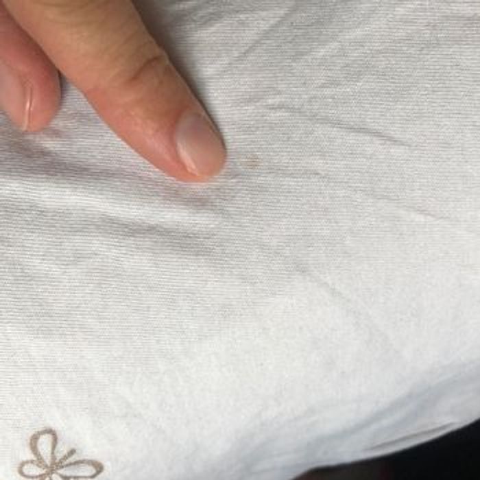 Lot tee shirt et boléro - photo numéro 10