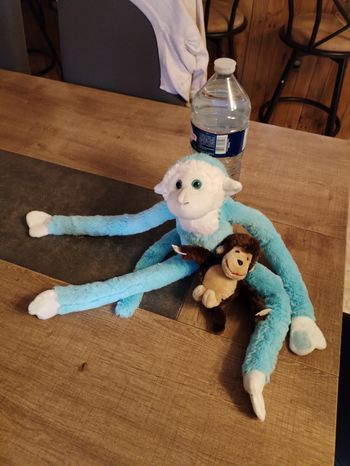 Lot peluche singe
