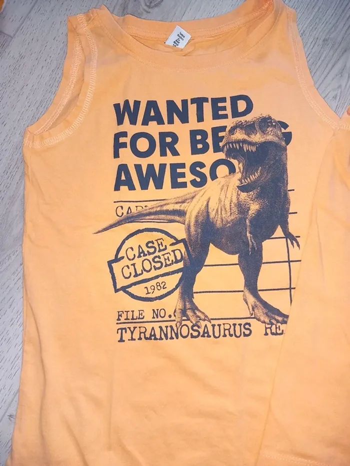 Lot de 2 t-shirts tyrannosaure - photo numéro 2