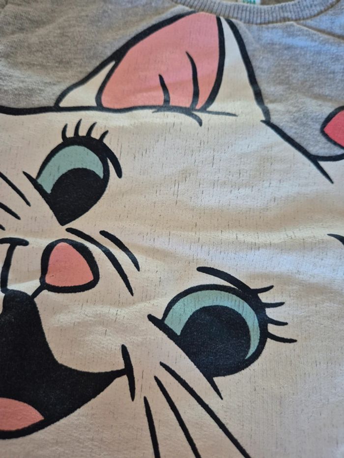 Ensemble artistochats 🌸 - photo numéro 4