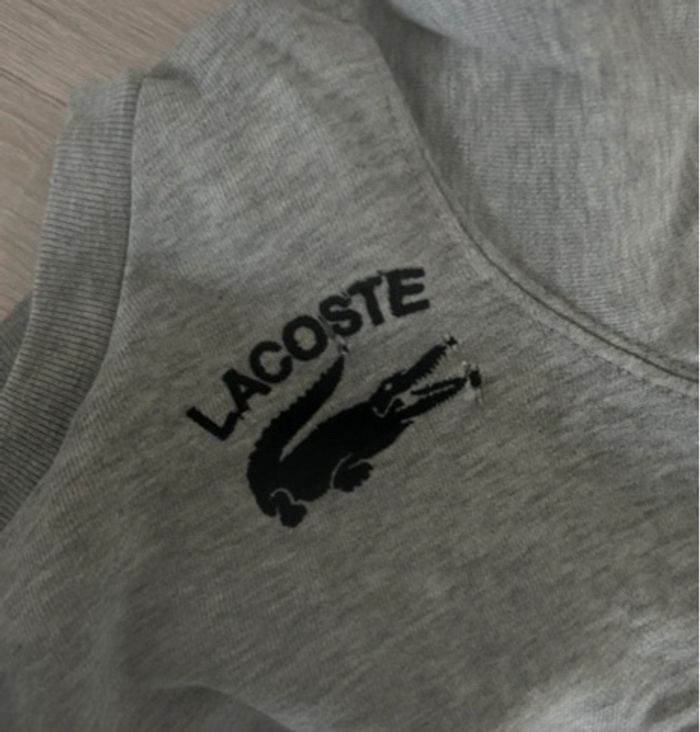 Pull Lacoste 24 mois - photo numéro 2