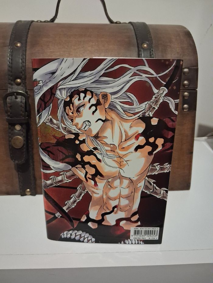 Manga Demon Slayer tome 23 édition limitée jaquette alternative - photo numéro 2