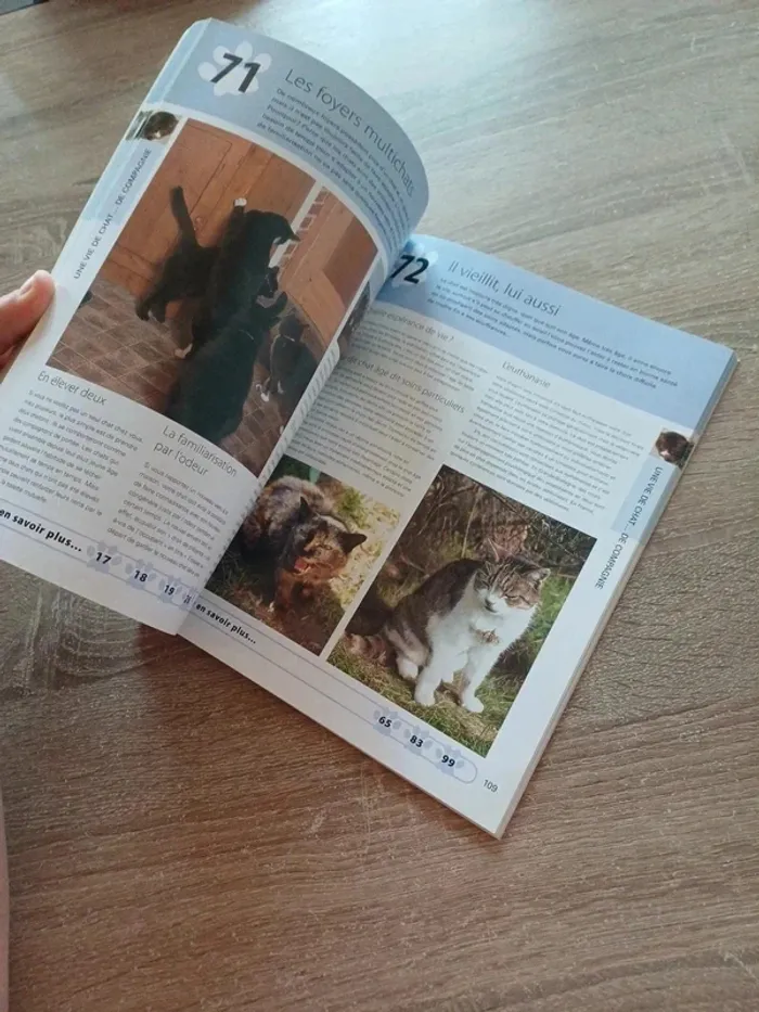 Livre " 100 clés pour comprendre son chat " - photo numéro 4