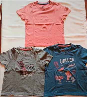 Lot de 3 tee-shirts Lupilu