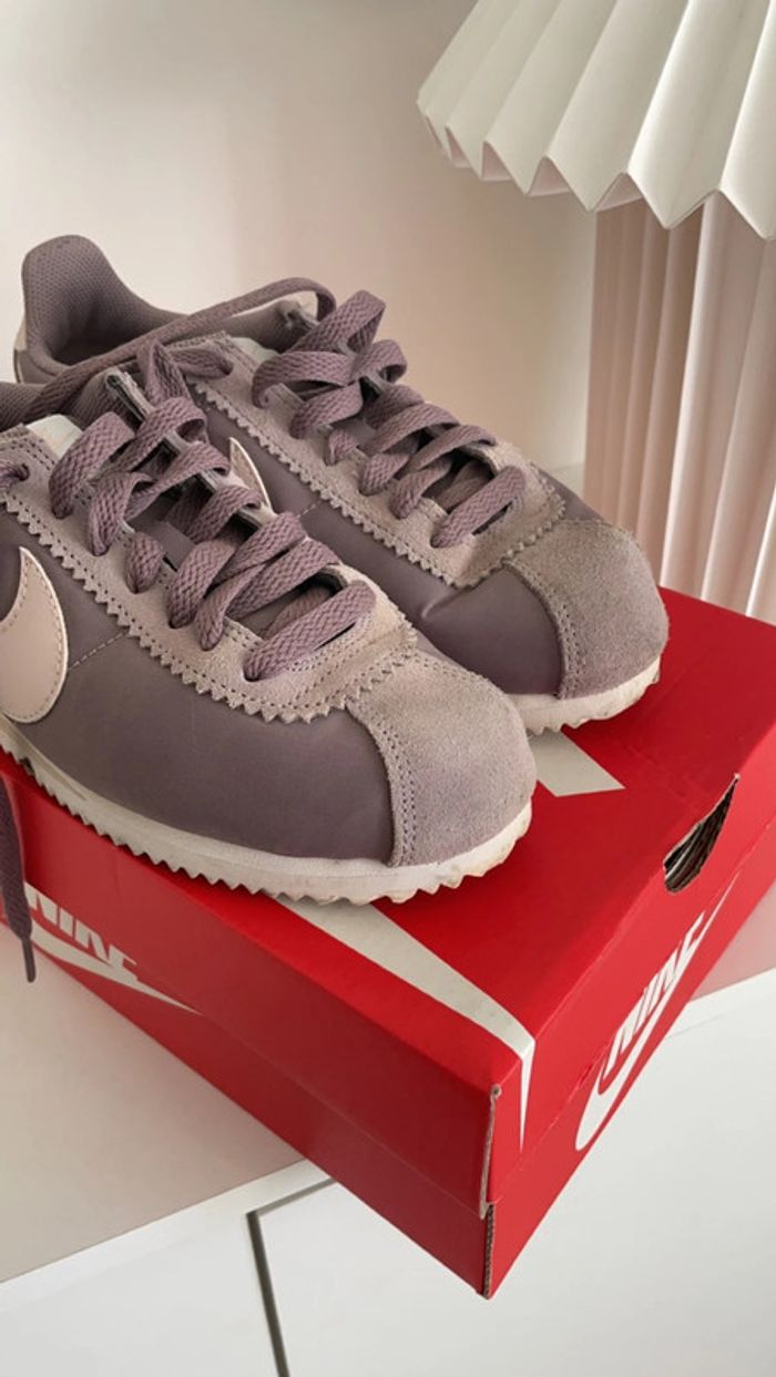 Cortez violet et rose - photo numéro 2