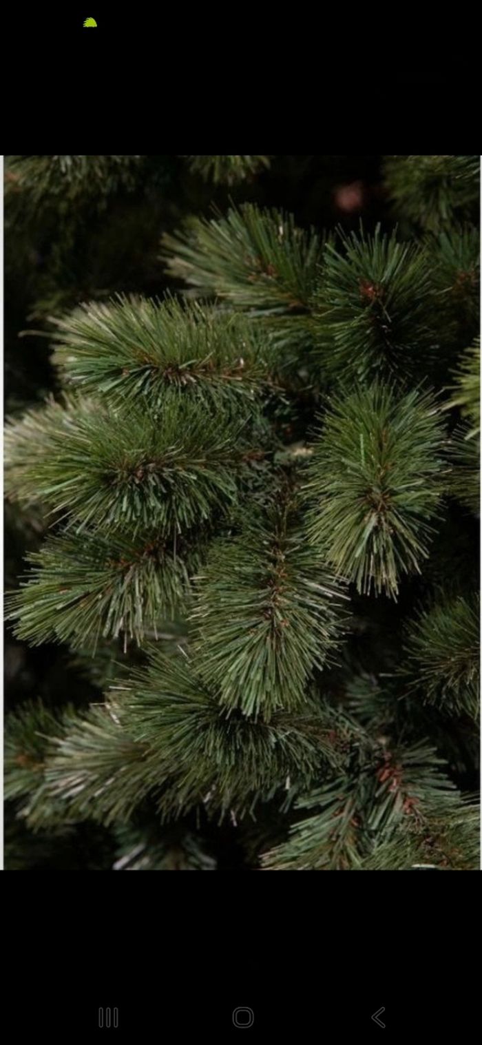 Sapin slim réaliste Triumph tree