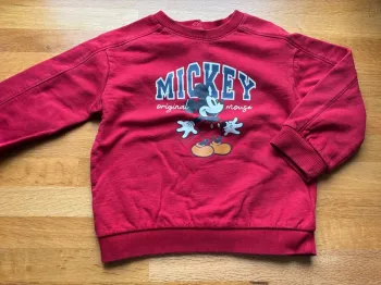 Sweat Disney 36 mois garçon