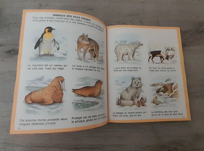 Livre: L'imagerie de la nature - Fleurus enfants - photo numéro 3