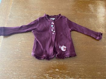 Gilet violet