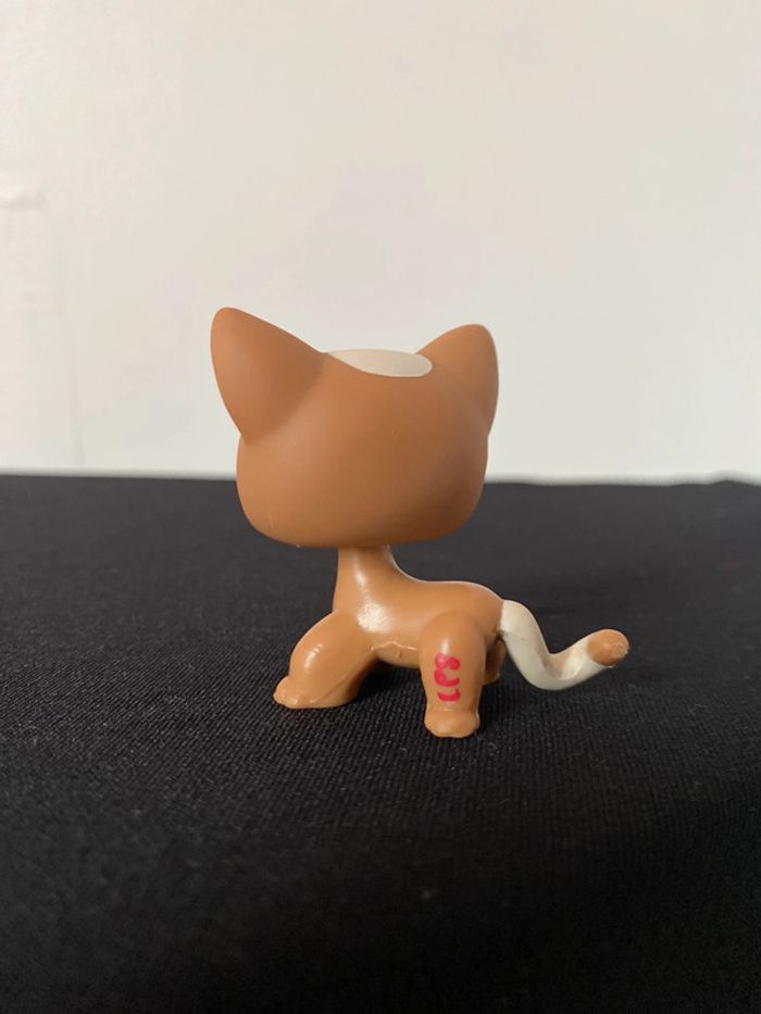 LPS 1170 - photo numéro 4