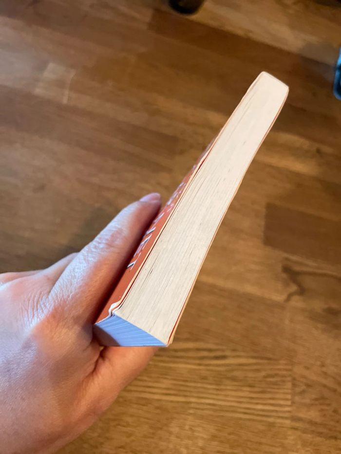 Livre Le carnet d’Allie La sortie - photo numéro 6