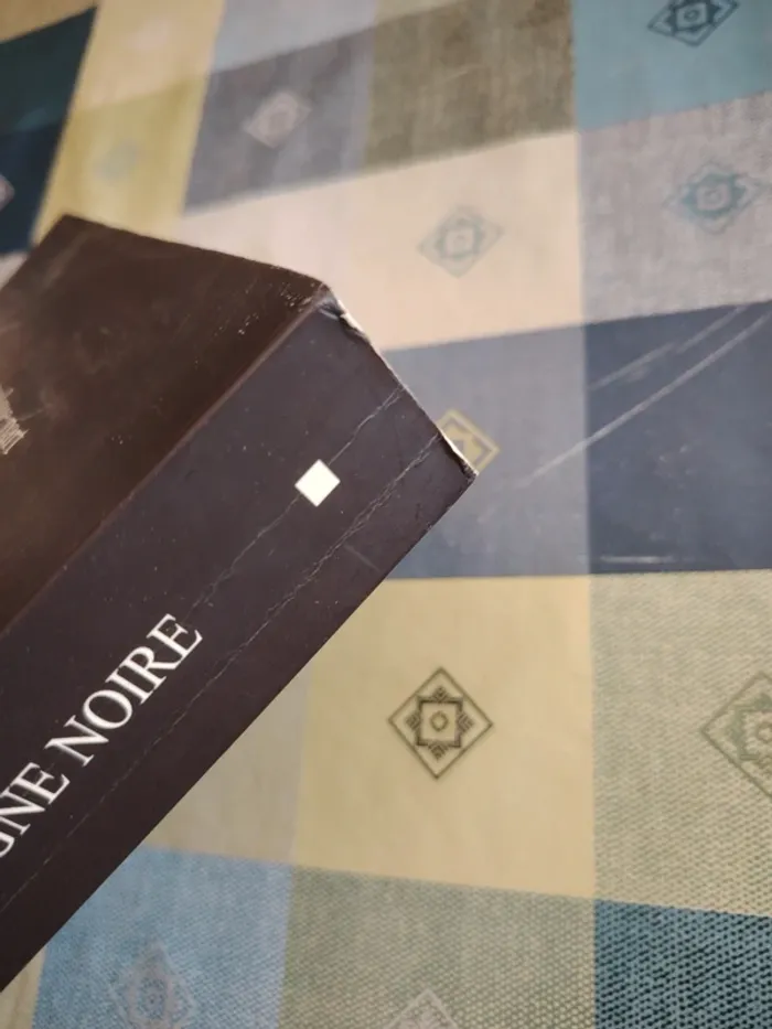 Livre La ligne noire - photo numéro 12