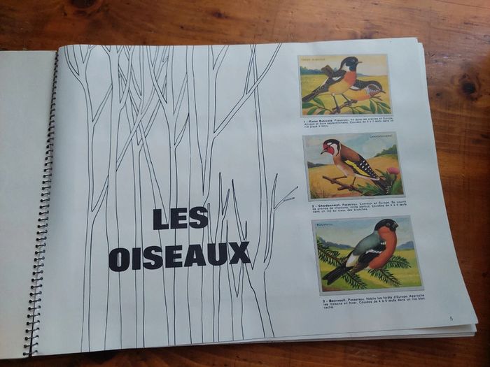 Album chromos l'univers en couleurs Biscottes Saint Luc - photo numéro 4