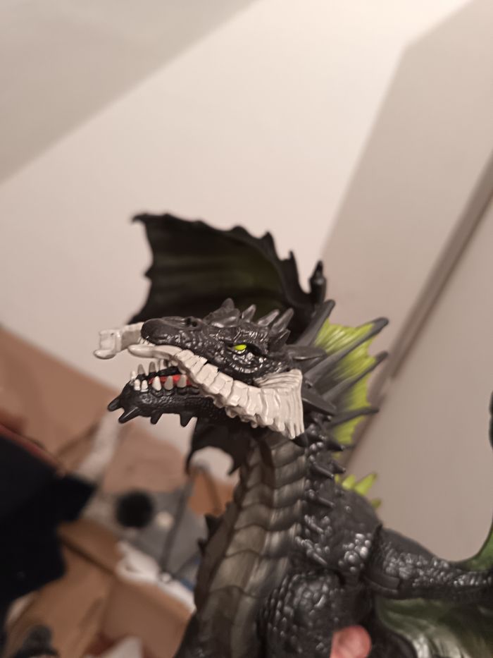 Grand Dragon - photo numéro 6