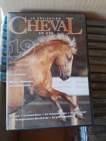 DVD