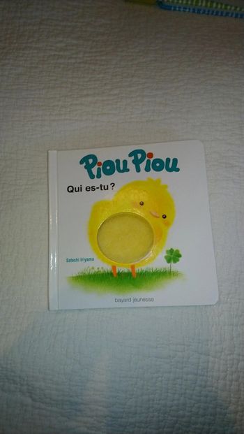 Livre enfant Piou piou qui es tu ?