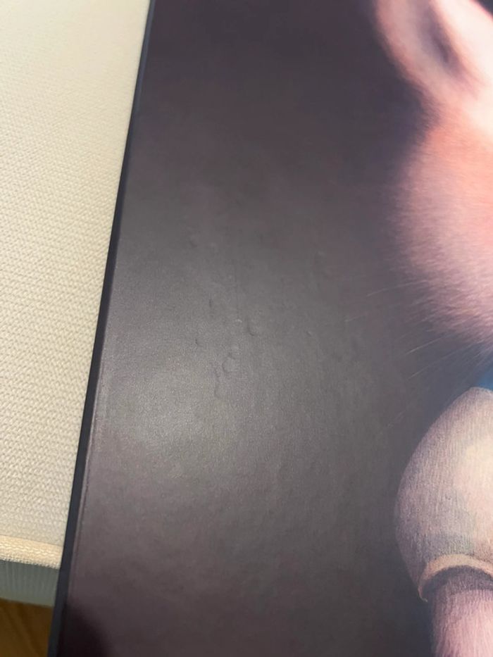 Livre une toute petite seconde Rebecca Dautremer - photo numéro 8