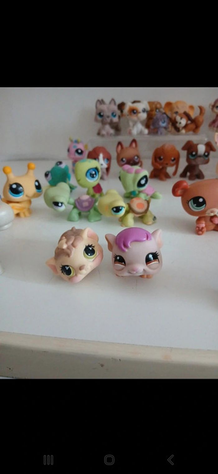 Littlest petshop - photo numéro 9